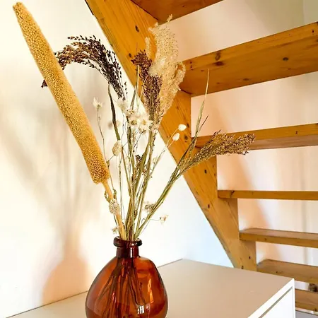 Duplex Lumineux Appartement Angers