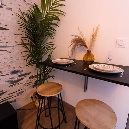 Duplex Lumineux Appartement Angers