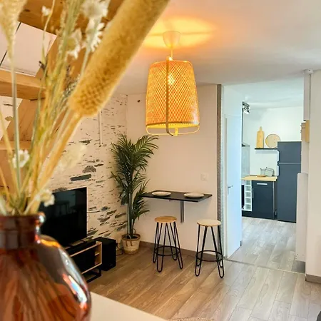 Appartamento Duplex Lumineux