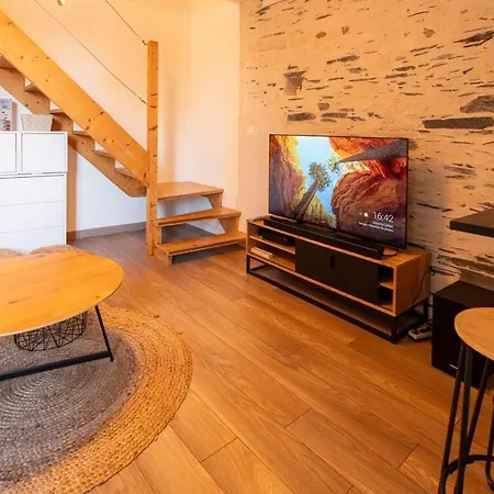 Appartement Duplex Lumineux Angers